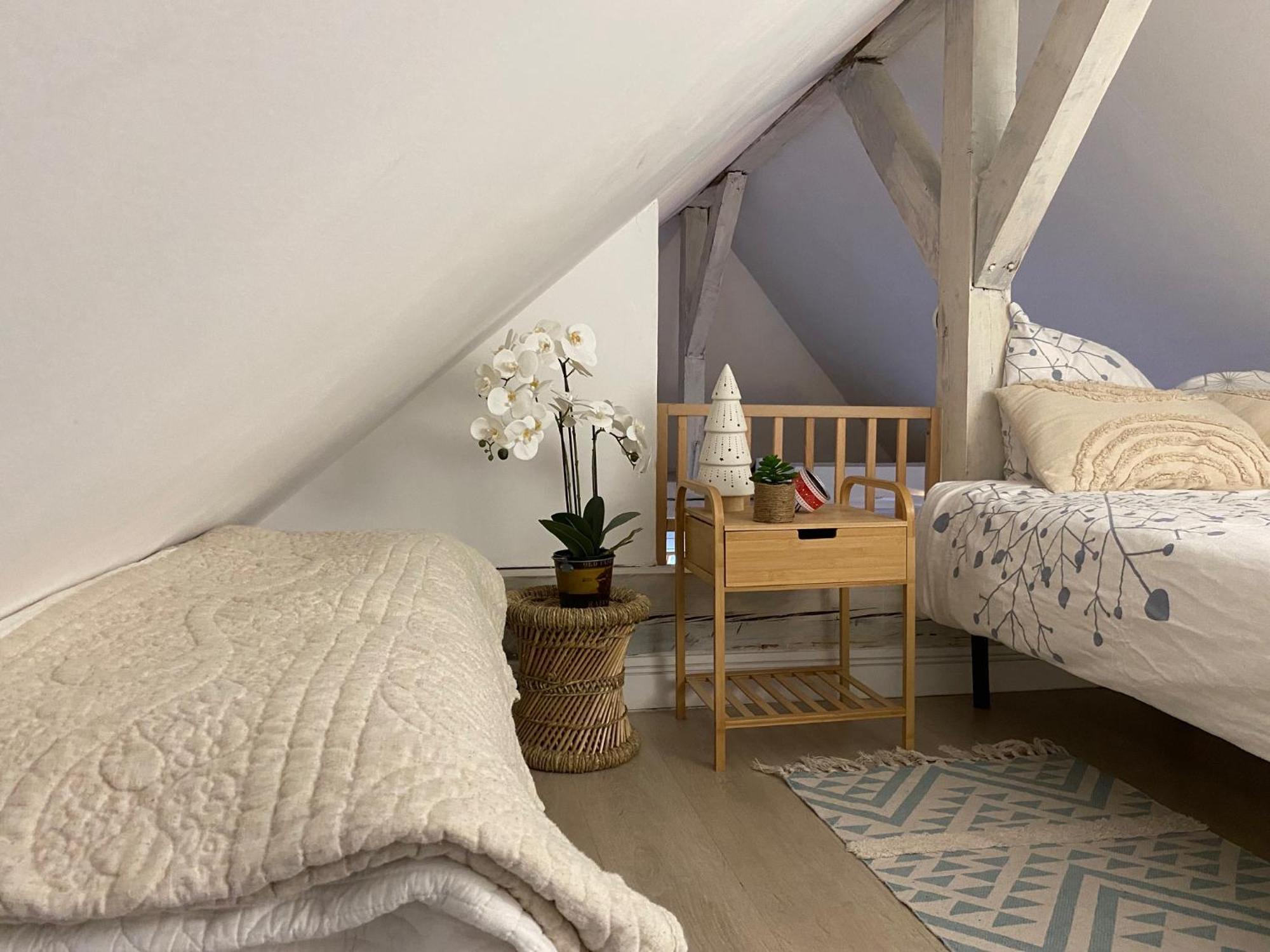 Duplex Spacieux Tout Confort Mulhouse Exteriör bild